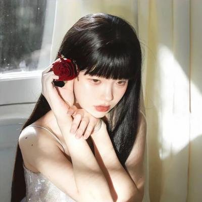 红楼劫